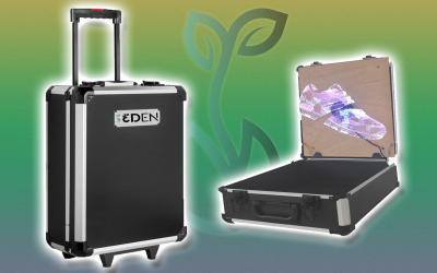 ¡Maletines holográficos! El nuevo servicio de 3DEN